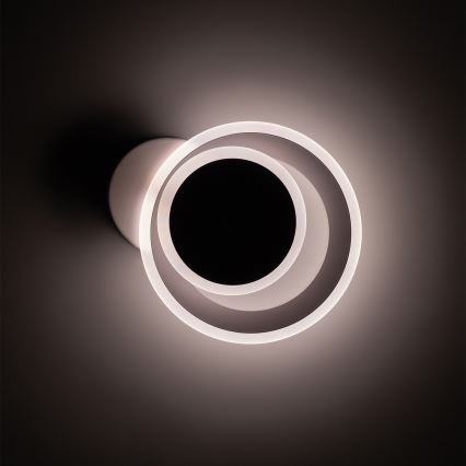 Brilagi - LED stropné svietidlo MODERN MINI LED/22W/230V 3000/4000/6000K