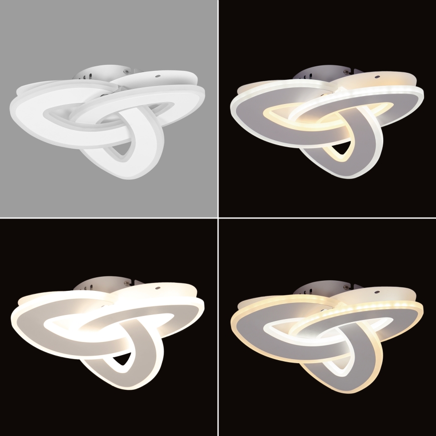 Brilagi - LED Stmievateľné stropné svietidlo MODERN MINI LED/49W/230V 3000/4000/6000K + diaľkové ovládanie