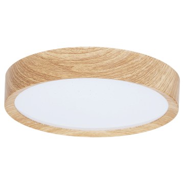 BRILAGI - LED stropné svietidlo NATURA LED/12W/230V 4000K pr. 26,3 cm