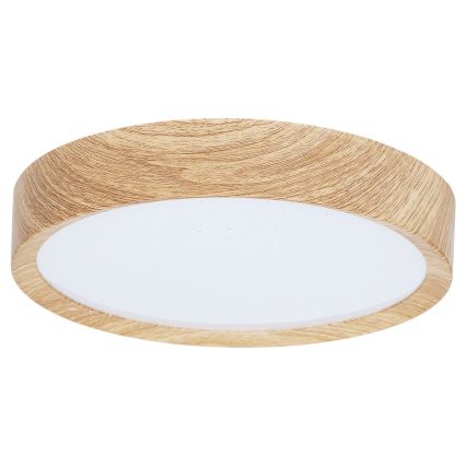 BRILAGI - LED stropné svietidlo NATURA LED/12W/230V 4000K pr. 26,3 cm