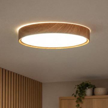 BRILAGI - LED stropné svietidlo NATURA LED/20W/230V 4000K priemer 33,7 cm