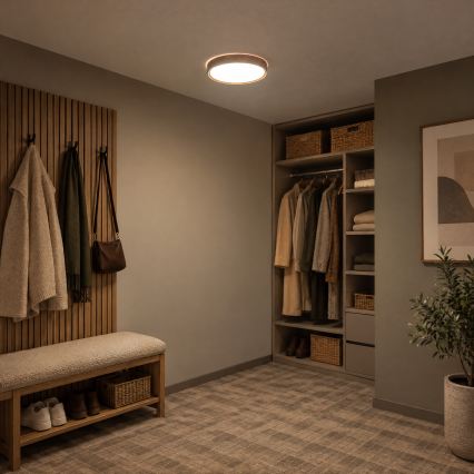 BRILAGI - LED stropné svietidlo NATURA LED/20W/230V 4000K priemer 33,7 cm