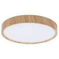 BRILAGI - LED stropné svietidlo NATURA LED/24W/230V 4000K pr. 38,3 cm