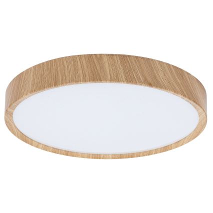 BRILAGI - LED stropné svietidlo NATURA LED/24W/230V 4000K pr. 38,3 cm