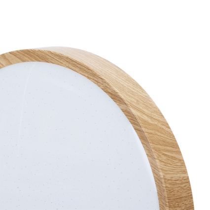 BRILAGI - LED stropné svietidlo NATURA LED/24W/230V 4000K pr. 38,3 cm