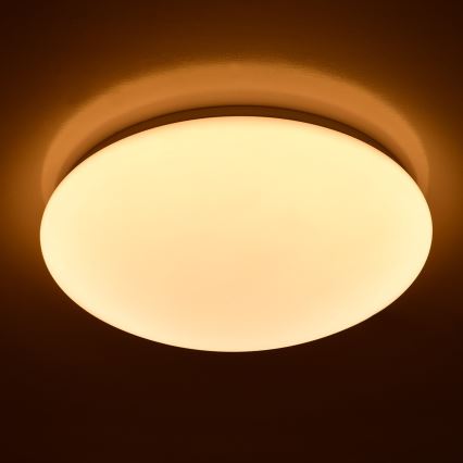 Brilagi - LED stropné svietidlo OPAL LED/24W/230V pr. 37,5 cm