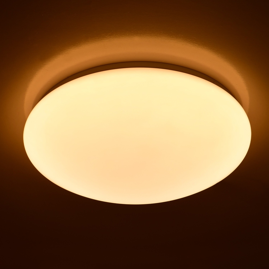 Brilagi - LED stropné svietidlo OPAL LED/24W/230V pr. 37,5 cm