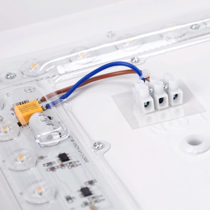 Brilagi - LED Stropné svietidlo PILANA LED/24W/230V dub/biela 32x32 cm