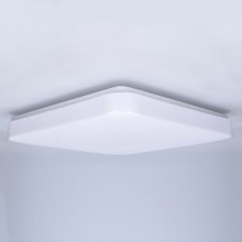 Brilagi - LED Stropné svietidlo PLAIN LED/24W/230V