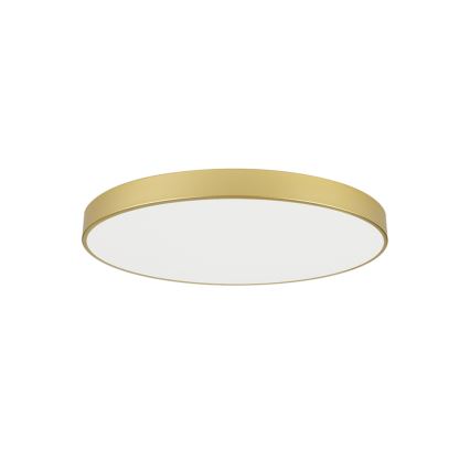 Brilagi - LED stropné svietidlo POOL LED/100W/230V 3000/4000/6000K pr. 80 cm zlaté