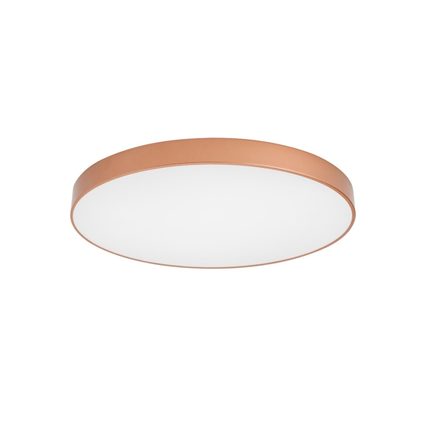 BRILAGI - LED stropné svietidlo POOL LED/100W/230V 3000/4000/6000K priemer 80 cm medené
