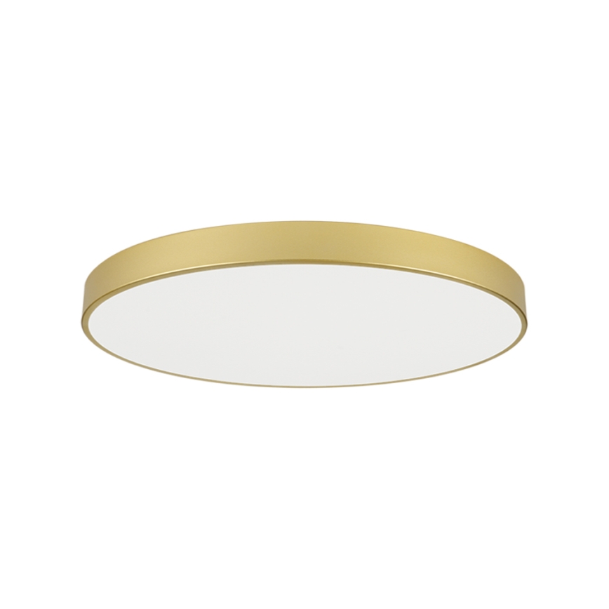 Brilagi - LED stropné svietidlo POOL LED/128W/230V 3000/4000/6000K pr. 100 cm zlaté