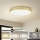 Brilagi - LED stropné svietidlo POOL LED/128W/230V 3000/4000/6000K pr. 100 cm zlaté