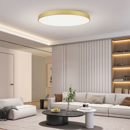 Brilagi - LED stropné svietidlo POOL LED/180W/230V 3000/4500/6000K priemer 120 cm zlaté