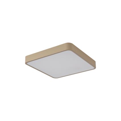 Brilagi - LED stropné svietidlo POOL LED/36W/230V 3000/4000/6000K 40x40 cm béžové