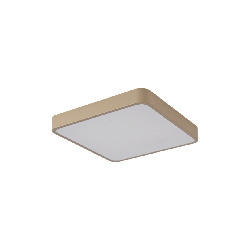 Brilagi - LED stropné svietidlo POOL LED/36W/230V 3000/4000/6000K 40x40 cm béžové
