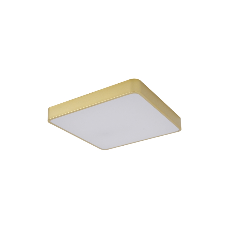 Brilagi - LED stropné svietidlo POOL LED/36W/230V 3000/4000/6000K 40x40 cm zlaté