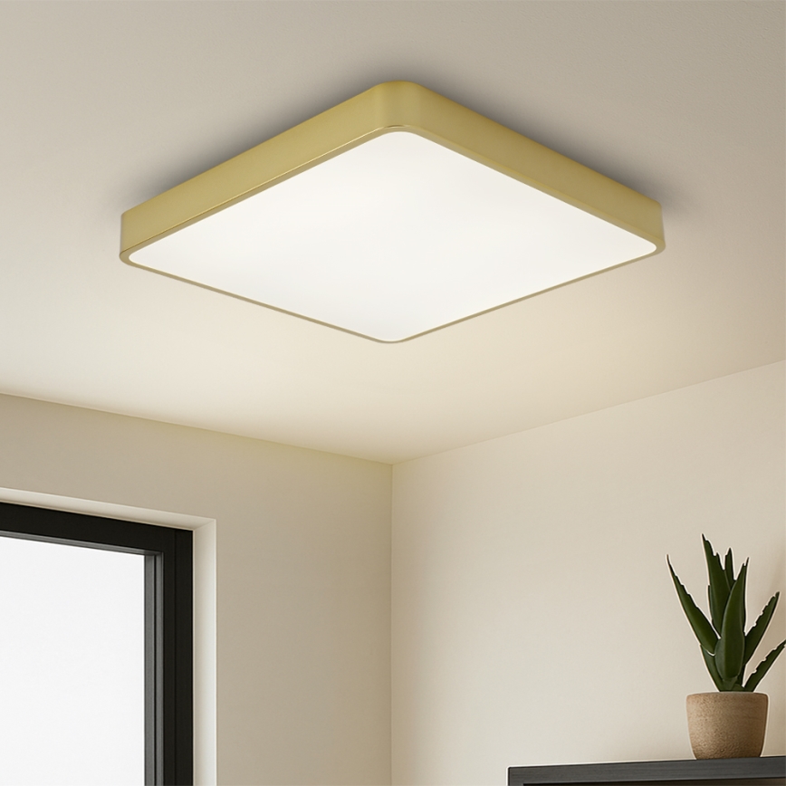 Brilagi - LED stropné svietidlo POOL LED/36W/230V 3000/4500/6000K 40x40 cm zlaté