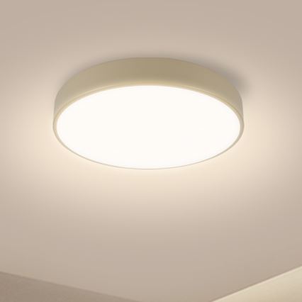 Brilagi - LED stropné svietidlo POOL LED/36W/230V 3000/4500/6000K pr. 30 cm béžové