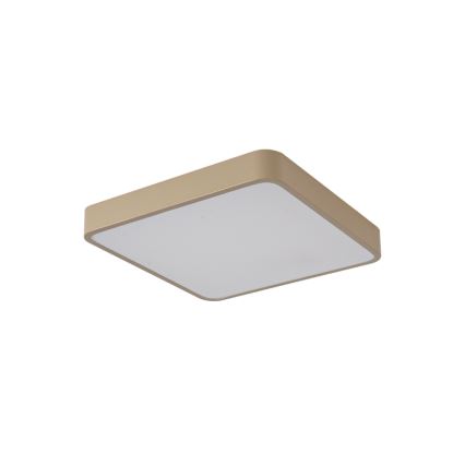 Brilagi - LED stropné svietidlo POOL LED/48W/230V 3000/4000/6000K 50x50 cm béžová