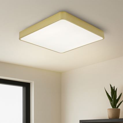 Brilagi - LED stropné svietidlo POOL LED/48W/230V 3000/4000/6000K 50x50 cm zlaté