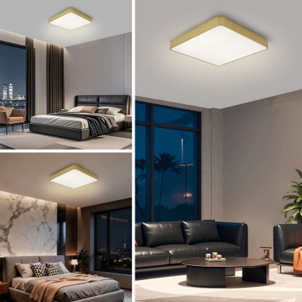 Brilagi - LED stropné svietidlo POOL LED/48W/230V 3000/4000/6000K 50x50 cm zlaté