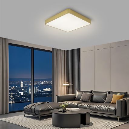 Brilagi - LED stropné svietidlo POOL LED/48W/230V 3000/4000/6000K 50x50 cm zlaté