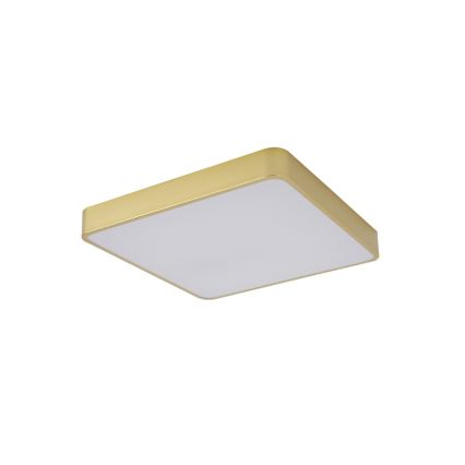Brilagi - LED stropné svietidlo POOL LED/48W/230V 3000/4000/6000K 50x50 cm zlaté
