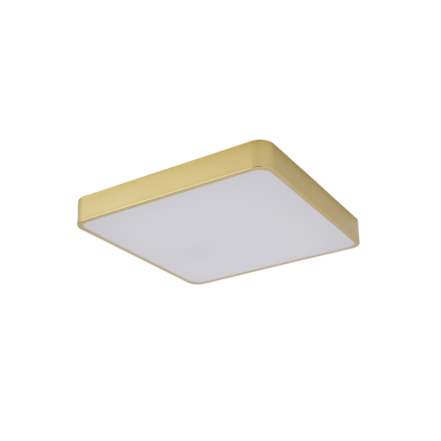 Brilagi - LED stropné svietidlo POOL LED/48W/230V 3000/4000/6000K 50x50 cm zlaté