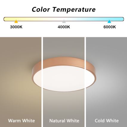 BRILAGI - LED stropné svietidlo POOL LED/48W/230V 3000/4000/6000K pr. 40 cm medená