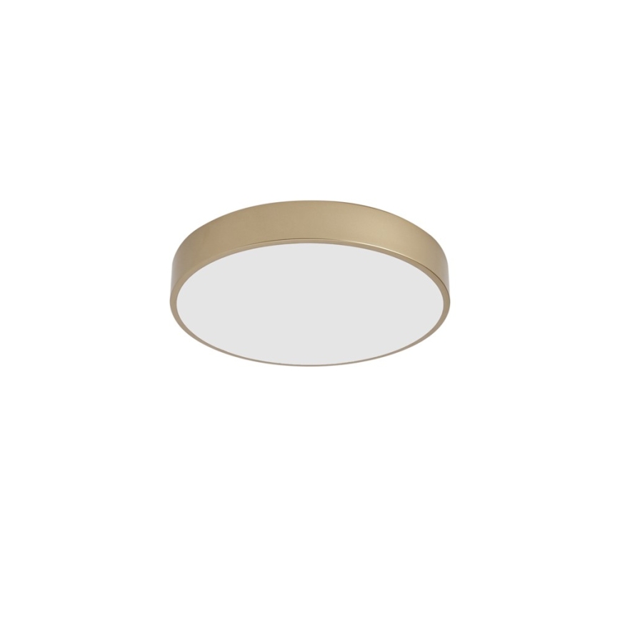 BRILAGI - LED stropné svietidlo POOL LED/48W/230V 3000/4000/6000K priemer 40 cm zlatá