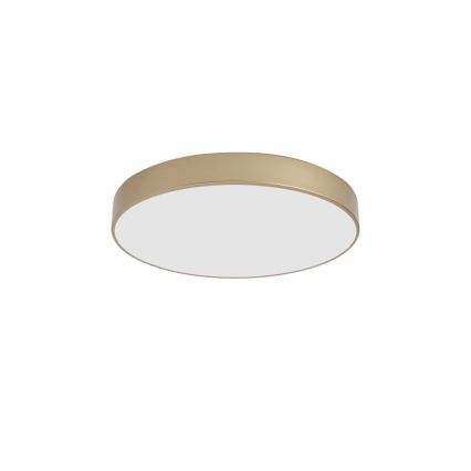 BRILAGI - LED stropné svietidlo POOL LED, 60 W, 230 V, 3000/4000/6000 K, priemer 50 cm, zlaté