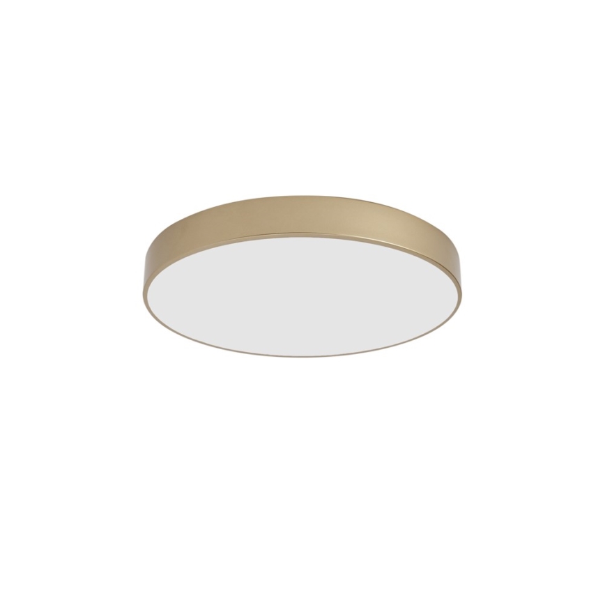 BRILAGI - LED stropné svietidlo POOL LED, 60 W, 230 V, 3000/4000/6000 K, priemer 50 cm, zlaté