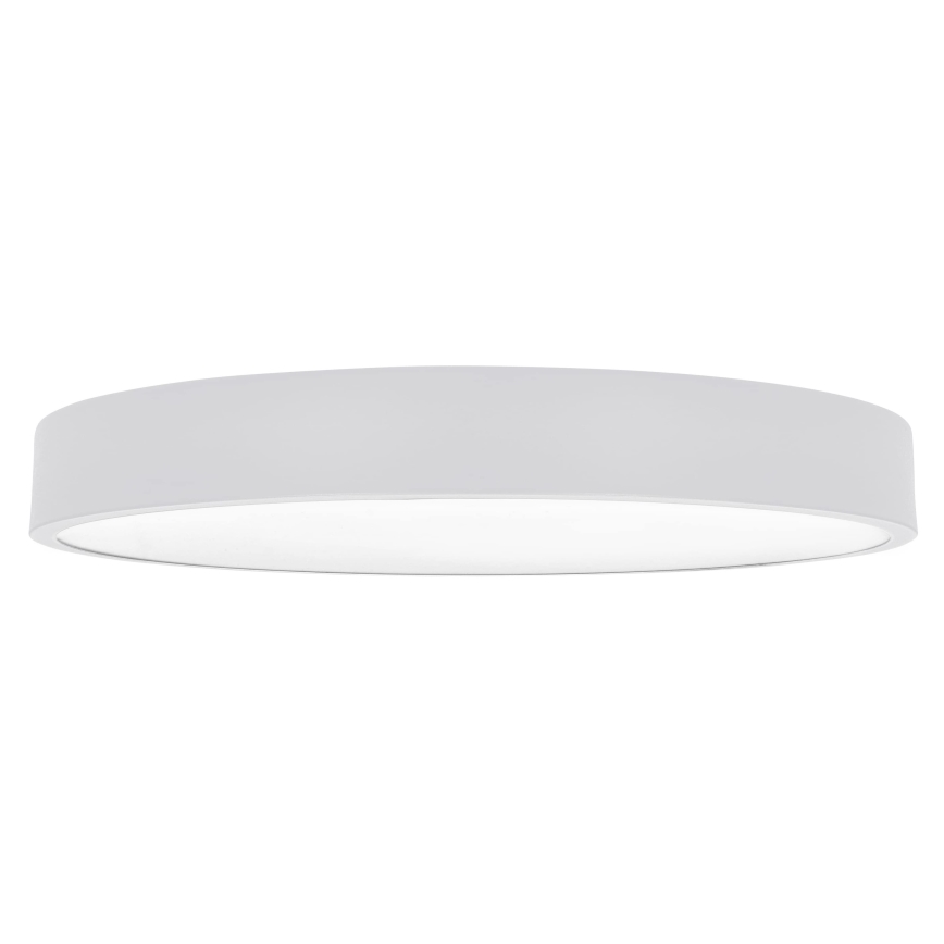 Brilagi - LED Stropné svietidlo POOL LED/60W/230V 3000/4000/6000K 50 cm biela