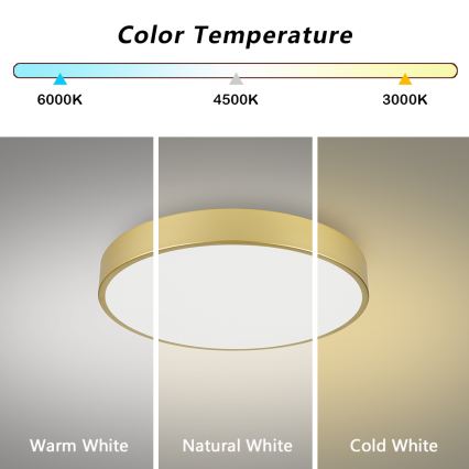 Brilagi - LED stropné svietidlo POOL LED/60W/230V 3000/4000/6000K pr. 60 cm zlaté