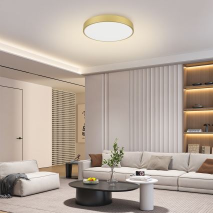 Brilagi - LED stropné svietidlo POOL LED/60W/230V 3000/4500/6000K pr. 60 cm zlaté