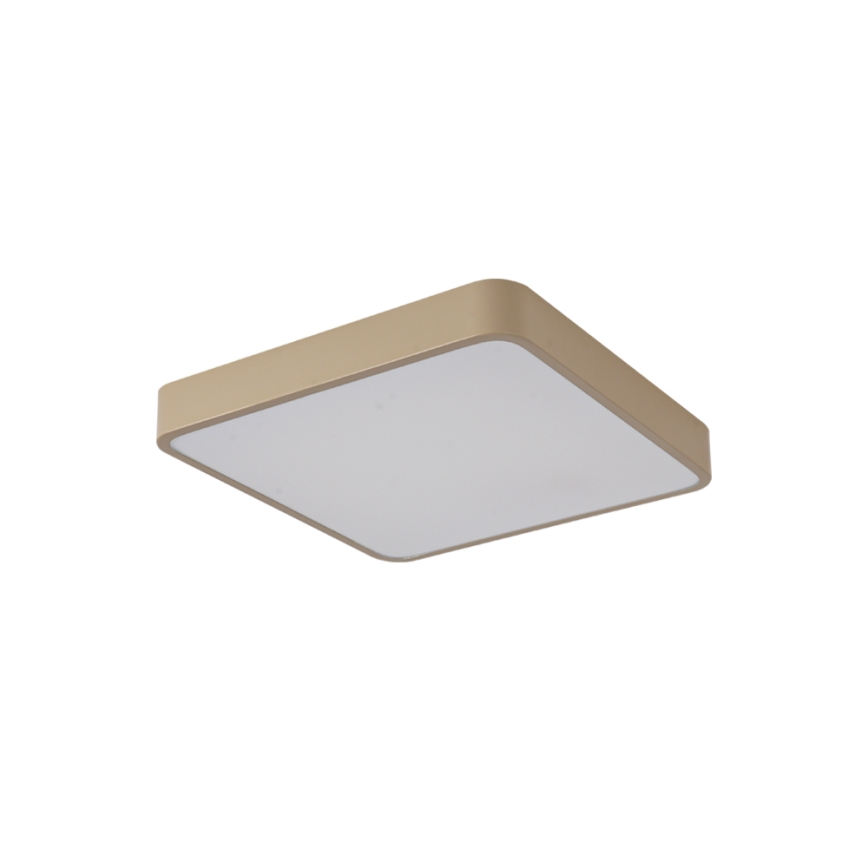 BRILAGI - LED stropné svietidlo POOL SQUARE LED/48W/230V 3000/4000/6000K 50x50 cm béžová