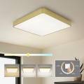 BRILAGI - LED stropné svietidlo POOL SQUARE LED/48W/230V 3000/4000/6000K 50x50 cm zlaté