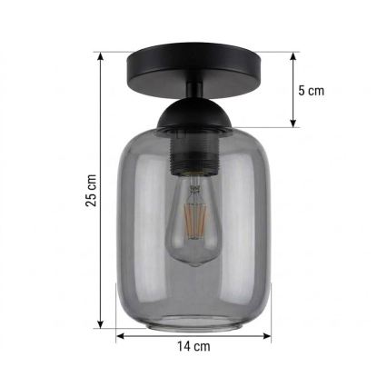 BRILAGI - LED Stropné svietidlo RETRO GLASS 1xE27/60W/230V pr. 14 cm čierna/dymová sivá