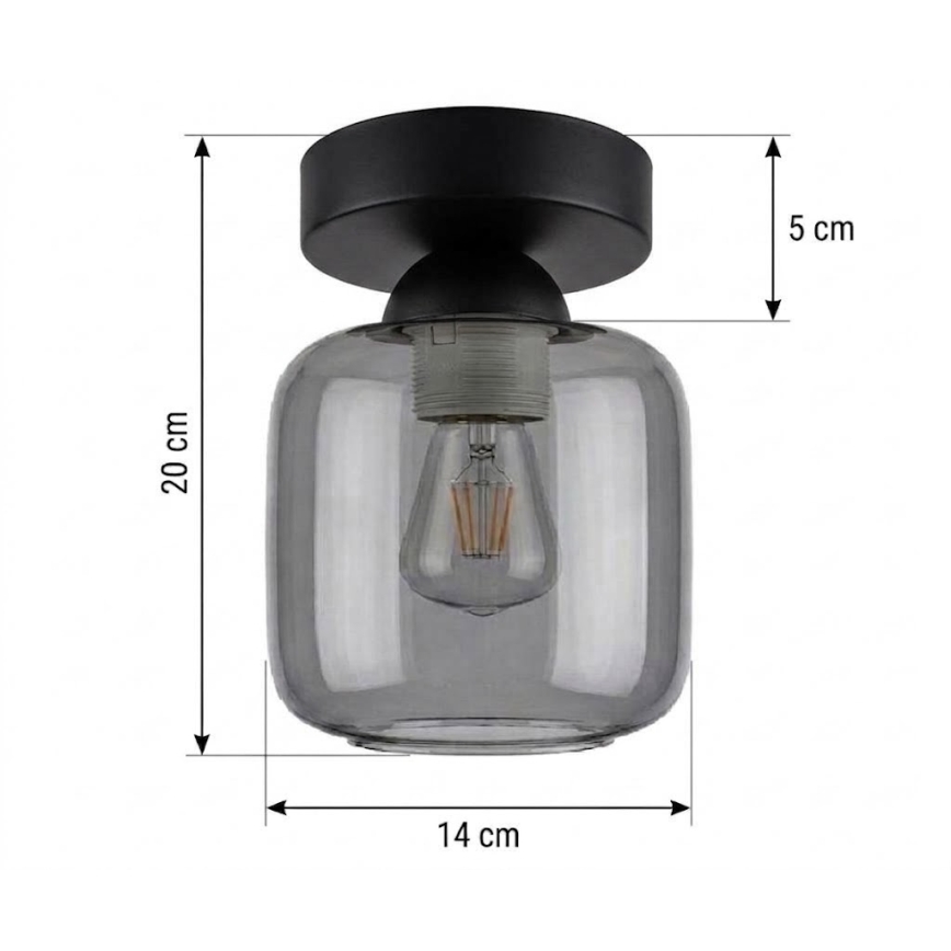 BRILAGI - LED stropné svietidlo RETRO GLASS 1xE27/60W/230V pr. 14 cm čierna/dymová sivá