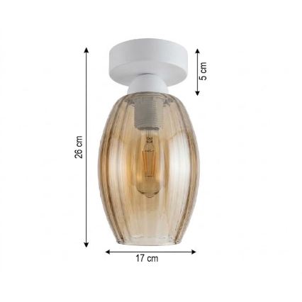 BRILAGI - LED stropné svietidlo RETRO GLASS 1xE27/60W/230V pr. 17 cm biela/dymová béžová