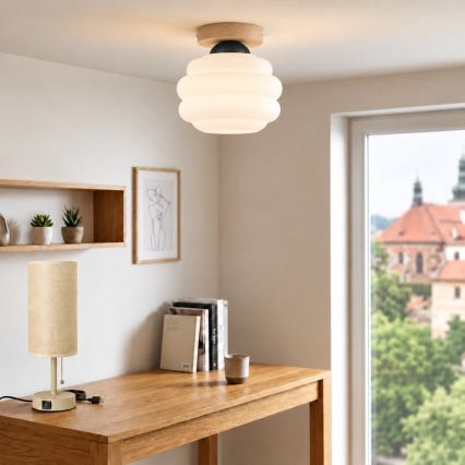 BRILAGI - LED Stropné svietidlo RETRO GLASS 1xE27/60W/230V pr. 20 cm dub/biela