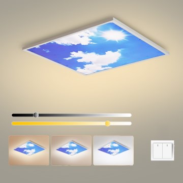 Brilagi - LED stropné svietidlo SLIMFRAME LED/58W/230V 60x60 cm biela/modrá