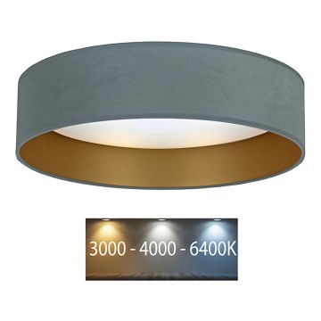 Brilagi - LED Stropné svietidlo VELVET LED/12W/230V pr. 30 cm 3000K/4000K/6400K mintová/zlatá