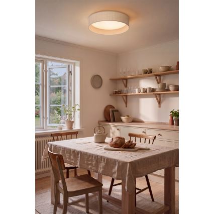 BRILAGI - LED stropné svietidlo VELVET SIMPLE LED/36 W/230 V 3000 K priemer 55 cm biela