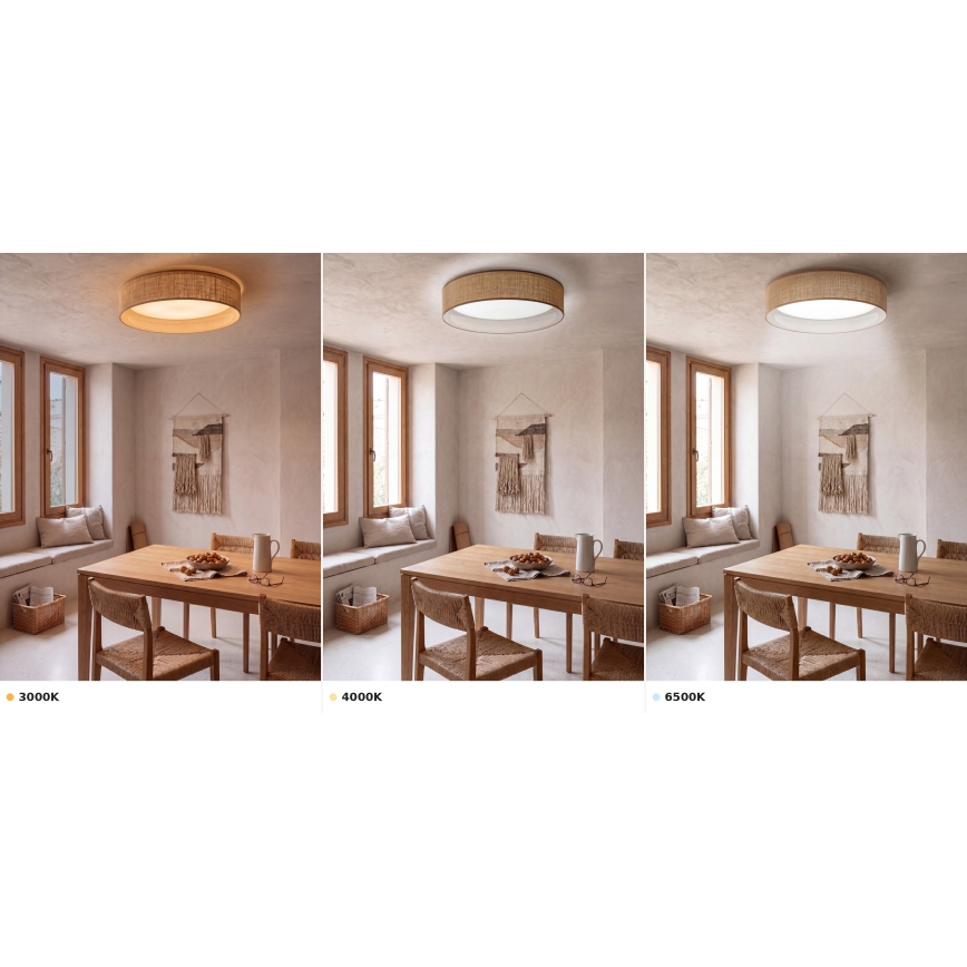 BRILAGI - LED stropné svietidlo VELVET VARI LED/24W/230V 3000/4000/6500K pr. 45 cm béžové