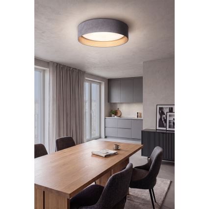 BRILAGI - LED stropné svietidlo VELVET VARI LED/24W/230V 3000/4000/6500K priemer 45 cm sivá/zlatá