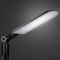 Brilagi - LED uličné svietidlo URBANLIGHT LED/250W/230V čierne IP65