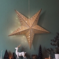 BRILAGI - LED vianočná dekorácia LED/2xAA 59x55 cm hviezda