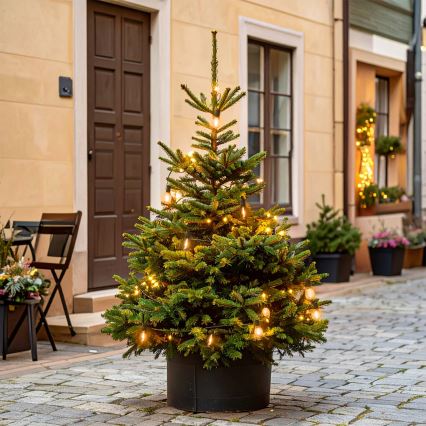 Brilagi - LED vonkajšia girlanda 10xLED/3xAA 3,2m IP44 teplá biela